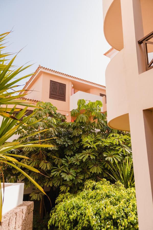 Precioso Apartamento San Miguel de Abona Zewnętrze zdjęcie
